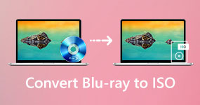 Convert Blu-ray to ISO