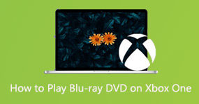 How to Player Blu-ray DVD on Xbox One