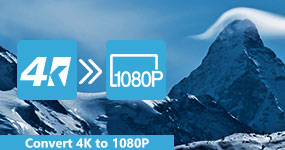 Convert 4K to 1080P