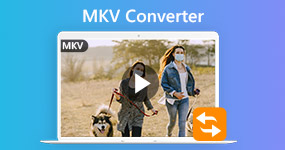 MKV converter