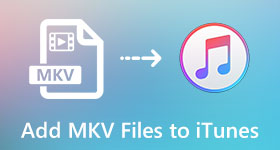 Add MKV Files to iTunes
