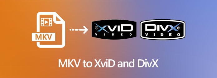MKV to XviD and DivX