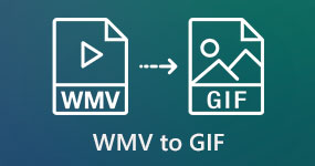 WMV to GIF