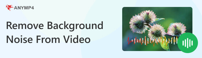 Remove Background Noise from Video