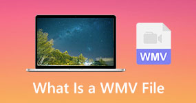 What Is a WMV File