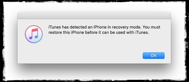 Apple iTunes Recovery Mode Message