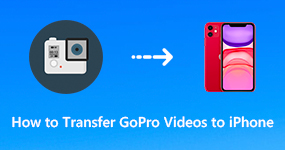 Transfer GoPro Videos to iPhone iPad