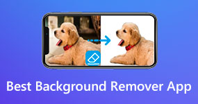 Best Picture Background Remover App