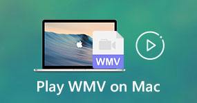 Play WMV on Mac