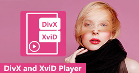 DivX and XviD Players
