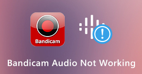 Bandicam Audio Not Working