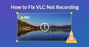 How to Fix VLC Not Recording