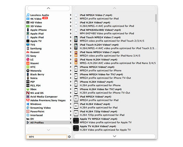 Ipad Profile