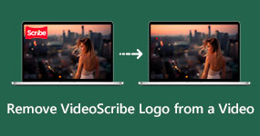 Remove Videoscribe Logo form A Video