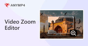 Video Zoom Editing Software
