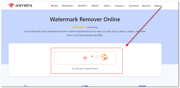 AnyMP4 Removing Watermark Upload Image
