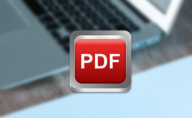 PDF Converter