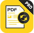 AnyMP4 PDF Converter