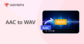 AAC to WAV