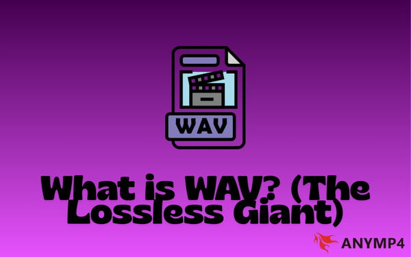 What Is Wav