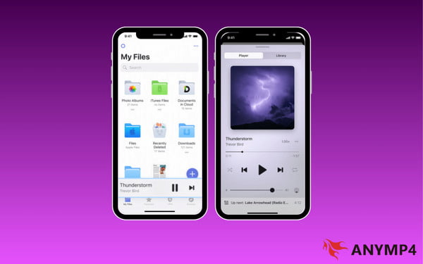 Play Flac On Files App
