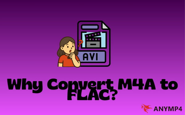 Why Convert Files