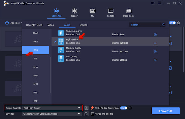 Set Ogg As Target Format In Anymp4 Video Converter Ultimate
