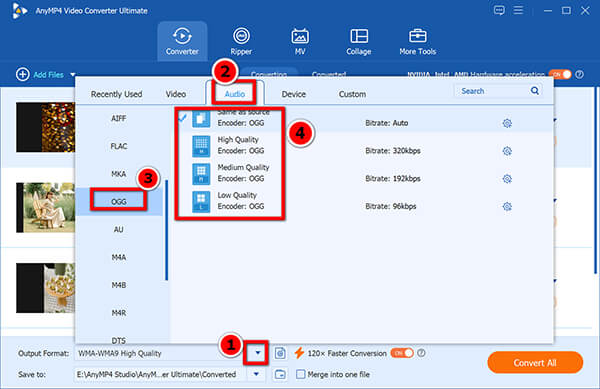 Output Ogg In Anymp4