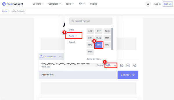 Select Output Format Adjust Audio Settings