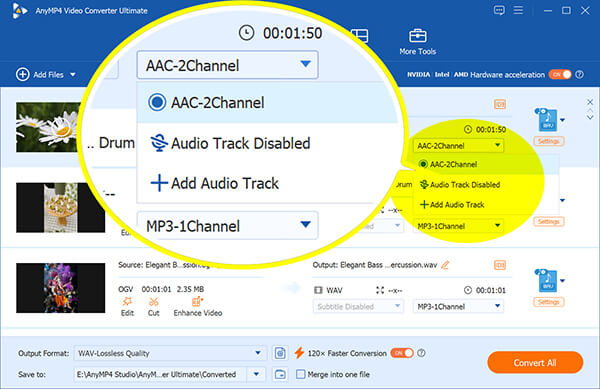 Select Audio Track In Anymp4 Video Converter Ultimate