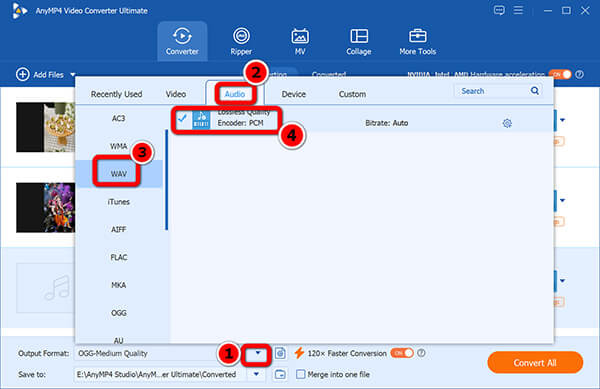 Output Wav For All Opus Files In Anymp4
