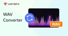 Wav Converter