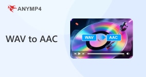 Wav To AacS