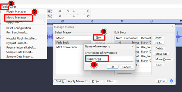 Batch Marco In Audacity