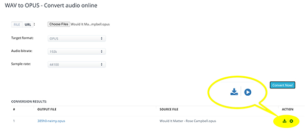 Convert WAV to OPUS in AConvert