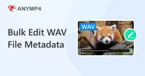 Bulk Edit Wav File Metadata