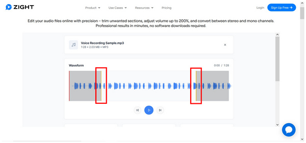 Zight Online Playback