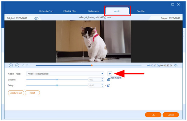 Anymp4 Video Converter Ultimate Audio Add