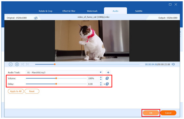 Anymp4 Video Converter Ultimate Audio Ok