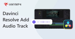 Davinci Resolve Add Audio Track