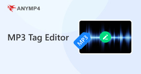 Mp3 Metadata Editor