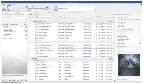 Metatogger Interface