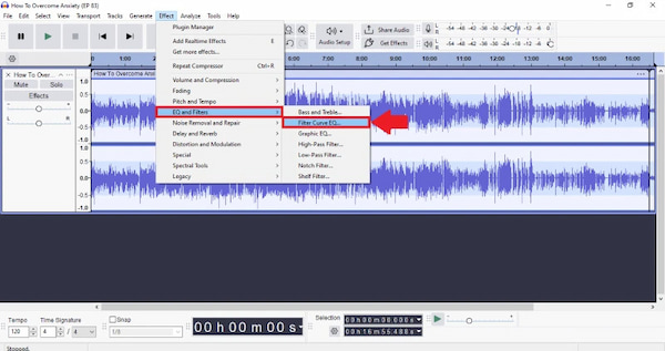 Polish Voice With Eq