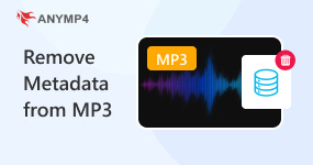 Remove Metadata from MP3