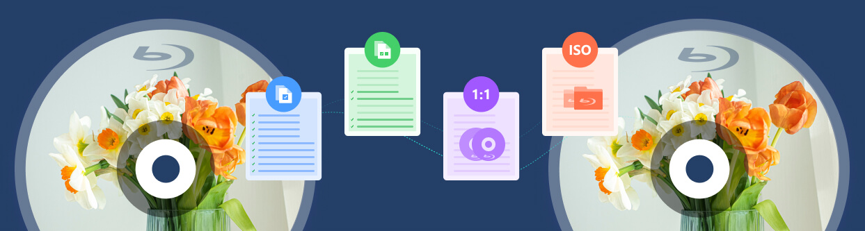 4 Modes to Copy Blu Ray