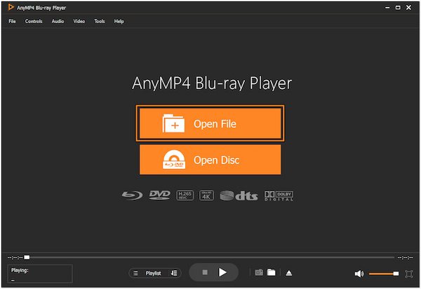 Load MP3 for Playback