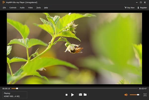 mkv video player on mac