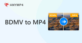 Bdmv naar Mp4