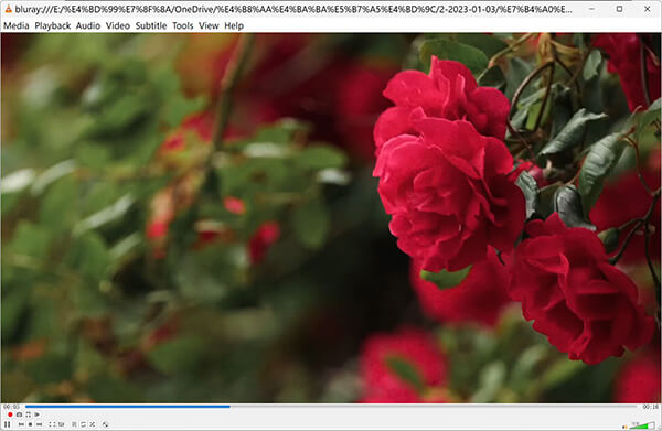 Odtwarzacz Winxdvd