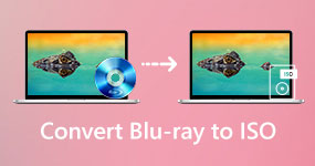 Konvertera Blu-ray till ISO